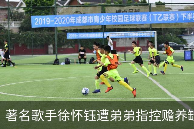 著名歌手徐怀钰遭弟弟指控赡养缺失与遗产争议，律师回应称其遭受不公